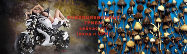 метамфетамин Алексеевка