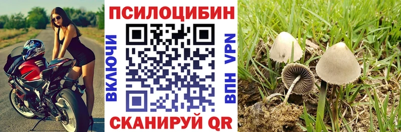 Галлюциногенные грибы мухоморы  Алексин 